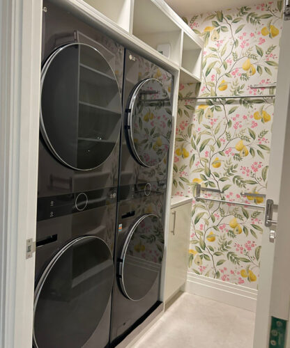 CLEANING_LAUNDRY AREA