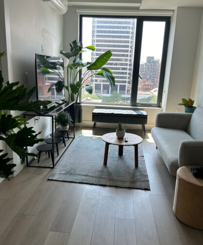 CLEANING_LIVINGROOM-2