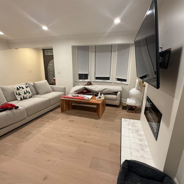 CLEANING_LIVINGROOM-5